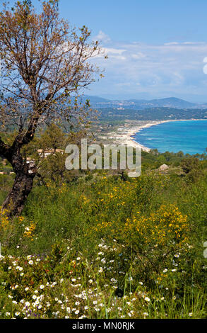 Vista dal Capo Camarat sul golfo di Saint Tropez, Cote d'Azur, Dipartimento del Var, Provence-Alpes-Côte d'Azur, in Francia del Sud, Francia, Europa Foto Stock