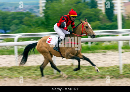 PYATIGORSK, RUSSIA - maggio 13,2018:Horse Racing per il premio del 'Probni' in Pyatigorsk.Avanti - master jockey Saitgaleev sulla baia mare. Foto Stock