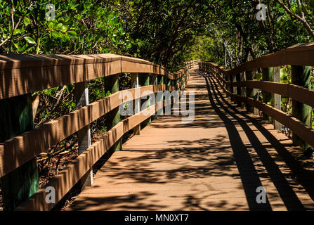 Un tranquillo viale alberato in marrone passerella in legno che conduce dal primo piano per una piega distante, scandito dalla luce del sole e ombra, modelli di Bonita Springs, Fl Foto Stock