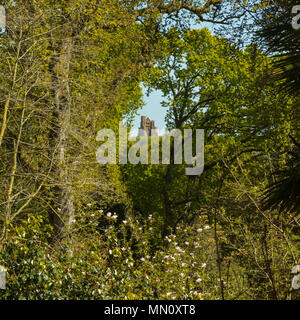 Santa Caterina la cappella nelle vicinanze Abbotsbury, Dorset visto attraverso una nascosta chiara apertura in una fitta foresta verde durante la primavera. Foto Stock