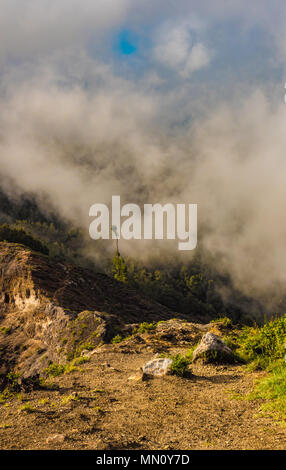 Nuvole sulla foresta montana. La nebbia inizia a formare come il sole sorge su due laghi cratere presso il Kelimutu National Park in Nusa Tenggara orientale, Indonesia. Foto Stock