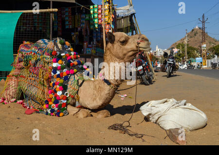 Pushkar, Rajasthan, India- 16 Gennaio 2018: splendidamente decorate Camel tenendo il resto a Pushkar fiera, Rajasthan, India. Foto Stock