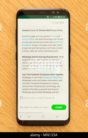 I Termini di servizio e informativa sulla Privacy Pagina su WhatsApp app introdotti come risultato della nuova Unione europea il PILR (Dati Generali Regolamento di protezione) Foto Stock