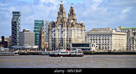 Liverpool, Regno Unito. 13 Maggio, 2018. Mersey Ferry e uccelli di fegato di crogiolarsi al sole primaverile, credito Ian Fairbrother/Alamy Foto Stock