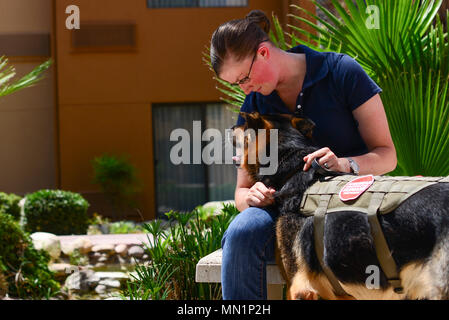 Stati Uniti Air Force Staff Sgt. Amanda Cubbage, 355a forze di sicurezza Squadron stati, riunisce con la sua recente militare in pensione cane da lavoro, Rick, Tucson, in Arizona, e il Agosto 8, 2017. Cubbage lavorato con Rick mentre ha servito come un gestore di MWD a Osan Air Base, Corea del Sud. (U.S. Air Force foto di Airman 1. Classe Michael X. Beyer) Foto Stock