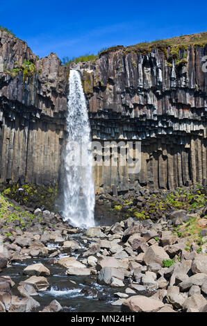 La bellissima Svartifoss circondata da colonne di basalto in Islanda. Foto Stock