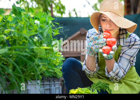 Giovane e bella small business agricoltore maleodoranti appena raccolto i pomodori nel suo giardino. Homegrown bio produrre concetto. Proprietario di piccola impresa. Foto Stock