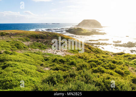 Round island splenduto da Sun ai Nobbies a Phillip Island, Victoria, Australia Foto Stock