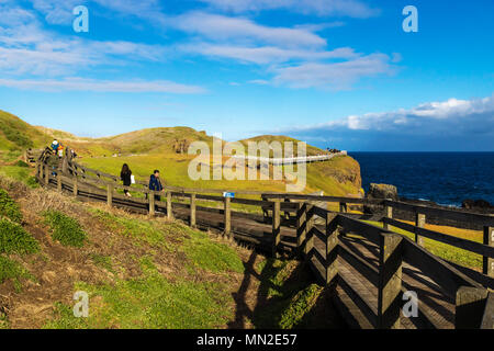 Nobbies, Phillip Island, Victoria, Australia - 11 Febbraio 2018: percorso di legno con i turisti a piedi attraverso le verdi colline arancione lungo la costa Foto Stock