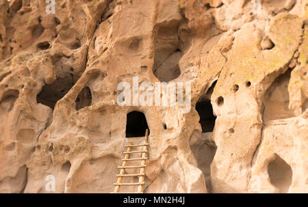 Native American cliff abitazione grotte con la scala di accesso al Bandelier National Monument, Nuovo Messico, Stati Uniti d'America. Foto Stock