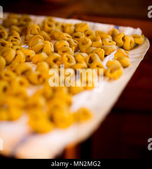 Tortellini, preparazione della tradizionale pasta fatta in casa di Modena City Foto Stock