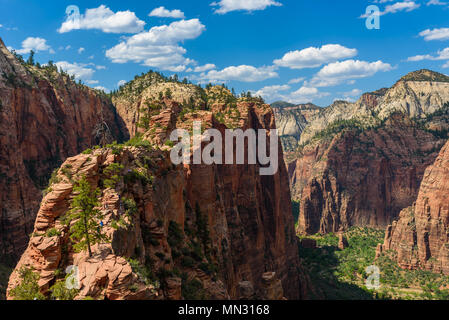 Ridge a piedi in uno splendido scenario nel Parco Nazionale di Zion lungo l angelo della pista di atterraggio, escursioni nel Canyon Zion, Utah, Stati Uniti d'America Foto Stock