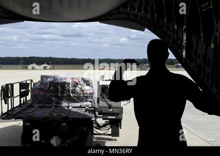 Tech Sgt. Joe falegname, XVI Airlift Squadron loadmaster, guida un membro della 78disponibilità logistica Squadron, Robins Air Force Base, Ga., come caricare un carico su pallet per la C-17 Globemaster III a Robins AFB il Agosto 29. La missione portato un totale di 30,6 tonnellate di rifornimenti di Alessandria Aeroporto Internazionale, Alessandria, La. (foto di Senior Airman Thomas T. Charlton) Foto Stock