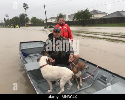 Petty Officer di prima classe Weatherly Derek, membro dell'Atlantico Strike Team, assiste con sforzi di ricerca e salvataggio in Houston dopo il passaggio dell uragano Harvey. (Foto di U.S. Coast Guard/rilasciato) Foto Stock