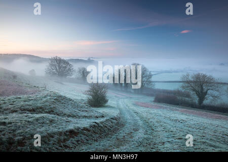 Un freddo gelido e nebbioso alba sulla collina Vartenham, Milborne Port, Somerset, Inghilterra, Regno Unito Foto Stock