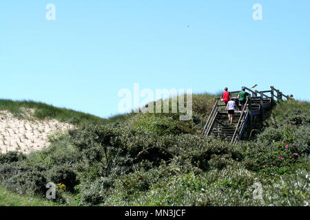 Paesi bassi,Olanda,Olandese, Zeeland,Westkapelle,Luglio 2017:i visitatori a salire le scale attraverso le dune a raggiungere la costa di te Foto Stock