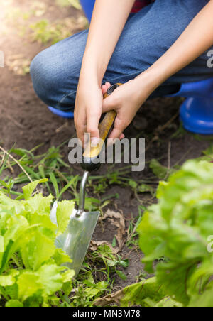 Primo piano della giovane donna lo scavo di terra in giardino con cazzuola Foto Stock