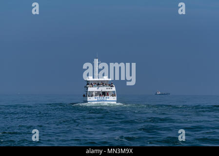 Imbarcazione da diporto 'Nordwind' da Sassnitz andando lungo la riva di Rügen Isola, Meclemburgo-Pomerania Occidentale, Germania Foto Stock