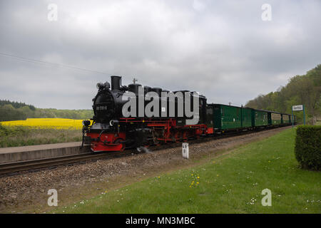 Treno a vapore "Rasender Roland' entrando in stazione Granitz, Granitz, isola di Rügen, Meclemburgo-Pomerania Occidentale, Germania, Europa Foto Stock