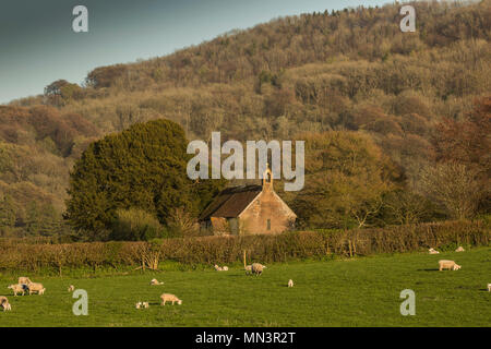 Sant'Andrea Chiesa, Didling, West Sussex Foto Stock