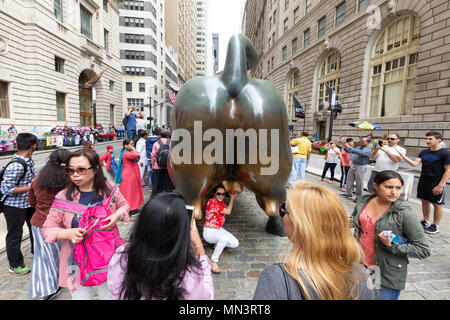 I turisti in posa con la estremità posteriore del Wall Street Bull, il centro cittadino di New York City, Stati Uniti d'America Foto Stock