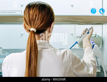 Scienziato che lavora in un laboratorio di ricerca medica Foto Stock