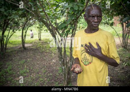 Paidha, Uganda. Il 5 maggio, 2018. Un abitante locale visualizza il suo cresciuto in casa i chicchi di caffè nella parte anteriore del suo caffè alberi.L'agricoltura fornisce oltre il 95% del reddito per gli abitanti del villaggio che vivono nei villaggi vicino alla città di Paidha nel nord Uganda vicino al confine con la Repubblica democratica del Congo. Fuori di tutti i prodotti per l'agricoltura caffè rappresentano più del 60% del loro reddito totale, il tasso corrente per il caffè è 5000 scellini ($1.30 USD) per kg mentre altri prodotti come gli avocadi e maze vale la pena anche di meno. Oltre il 90% delle famiglie locali che vivono senza elettricità e vil Foto Stock