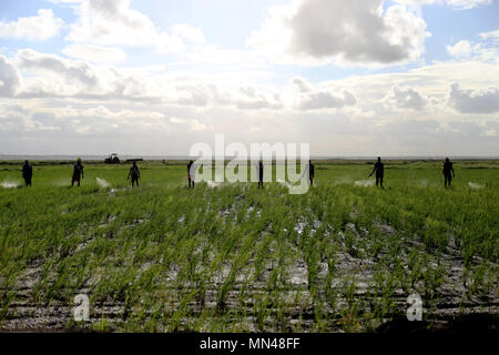 (180514) -- LA STRISCIA DI GAZA(Mozambico), 14 maggio 2018 (Xinhua) -- gli agricoltori locali spray antiparassitario al riso Wanbao azienda agricola nella provincia di Gaza, Mozambico, 3 marzo 2018. Il Wanbao Mozambico rice farm, investiti dalla China-Africa Fondo europeo di sviluppo è il più grande del suo genere intrapresi dalla Cina in Africa. Il progetto, un business globale che incorpora plantation, conservazione, trasformazione e vendita, mira a sviluppare 20.000 ettari di terreno coltivato e porterà gli agricoltori nelle aree circostanti per crescere raccolti su un altro 80.000 ettari. (Xinhua) (SXK) Foto Stock