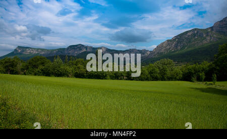 Vista la foret de Saou in Francia Foto Stock