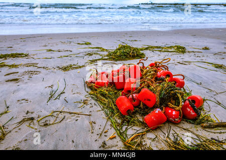 I resti di una rete da pesca è di console dopo la tempesta a Scharbeutz, Schleswig-Holstein, Germania, Europa Angespülte Reste von einem Fischernetz nach S Foto Stock