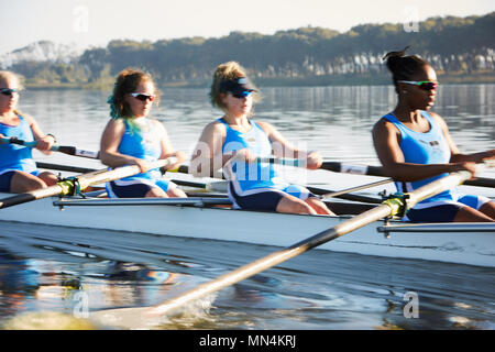 I rematori femmina scull canottaggio sul lago di sole Foto Stock
