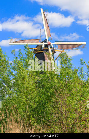 Mulino a vento olandese a Kralingse Bos a Rotterdam, Paesi Bassi Foto Stock