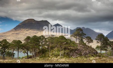 Caledonian pini sopra Loch Torridon con Beinn Aligin oltre, Ben Damh station wagon, Wester Ross, Scotland, Regno Unito Foto Stock