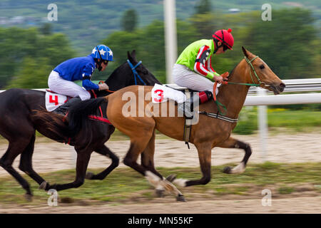 PYATIGORSK, RUSSIA - maggio 13,2018:Horse Racing per il premio del 'Probni' in Pyatigorsk.Avanti - master jockey Tarasov sulla baia mare Kripta Ser. Foto Stock