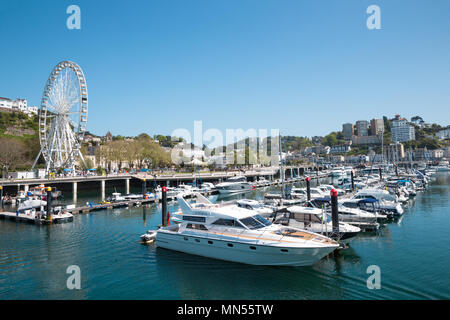 Barche nel porto di Torquay con REnglish Riviera ruota in background Devon UK Foto Stock