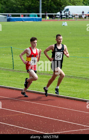 Guide di scorrimento in uomini 3000m gara, Warwickshire County campionati, Nuneaton, Regno Unito Foto Stock