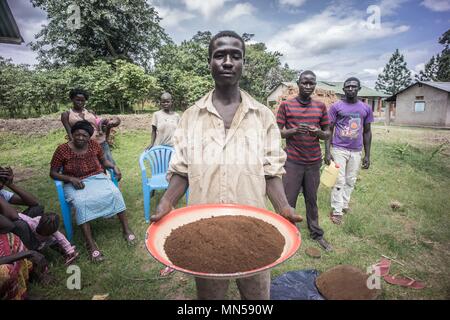 Un abitante locale visualizza il prodotto finale della loro cresciuto in casa caffè. L'agricoltura fornisce oltre il 95% del reddito per gli abitanti del villaggio che vivono nei villaggi vicino alla città di Paidha nel nord Uganda vicino al confine con la Repubblica democratica del Congo. Fuori di tutti i prodotti per l'agricoltura caffè rappresentano più del 60% del loro reddito totale, il tasso corrente per il caffè è 5000 scellini ($1.30 USD) per kg mentre altri prodotti come gli avocadi e maze vale la pena anche di meno. Oltre il 90% delle famiglie locali che vivono senza elettricità e gli abitanti del villaggio hanno spesso per trasportare acqua da 2 a 5 k Foto Stock