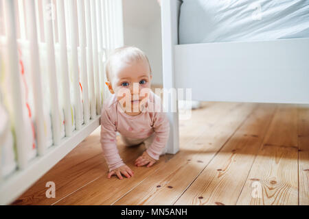 Un bimbo piccolo bambino gattona sul pavimento in legno nella camera da letto di casa. Foto Stock