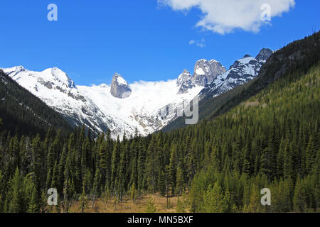 Bugaboo guglie Bugaboo Parco Provinciale, British Columbia Foto Stock