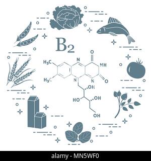 Gli alimenti ricchi di vitamina B2. Cavolo, pesce, pomodoro, rosa canina, spinaci, latte, frumento, piselli. Illustrazione Vettoriale