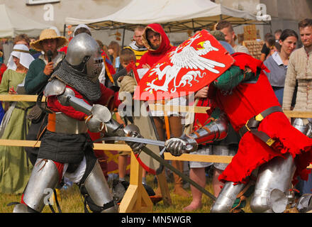 Combattimenti cavaliere del. "Cavaliere del torneo con prugna". Szydlow, Polonia, 23 luglio 2017. Foto Stock