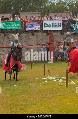 Cavaliere di dimostrazione di una lotta e tecniche di equitazione. "Cavaliere del torneo con prugna". Szydlow, Polonia, 23 luglio 2017. Foto Stock