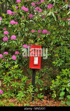 Rosso rurale postbox nelle Highlands della Scozia Foto Stock