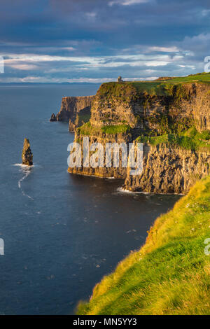 Impostazione della luce solare su scogliere di Moher, County Clare, Repubblica di Irlanda Foto Stock