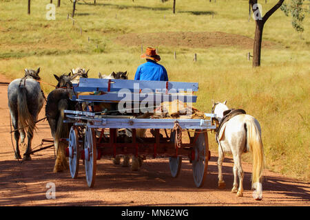 Progetto team cavallo tirando un carro sulla strada di campagna. Foto Stock
