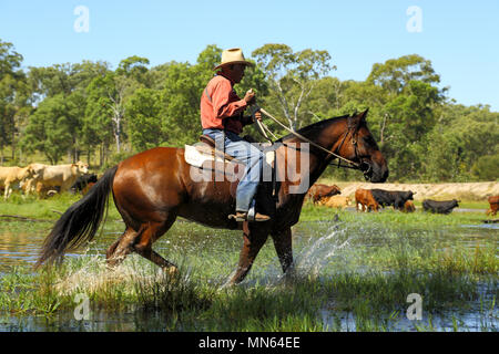 Un aborigeno uomo cavalca il suo cavallo attraverso l'acqua. Foto Stock