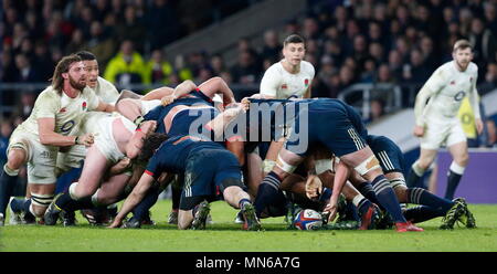 Londra, Inghilterra - febbraio 04: Tom Wood e Nathan Hughs su allarme elevato come la palla rompe gratuitamente da scrum durante il match tra Inghilterra e Francia RBS TORNEO SEI NAZIONI a Twickenham Stadium il 4 febbraio 2017 a Londra, Inghilterra. Foto di Paul Cunningham Foto Stock