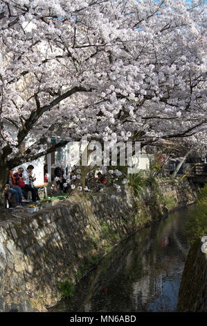 Ai turisti di ammirare la fioritura dei ciliegi lungo il filosofo il percorso a Kyoto, in Giappone durante la ciliegia -blossom (Sakura) stagione Foto Stock