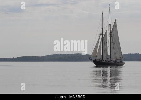 La Bluenose II vela il porto di Halifax, Nova Scotia. Foto Stock