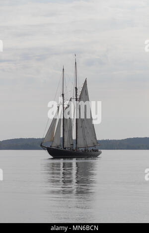 La Bluenose II vela il porto di Halifax, Nova Scotia. Foto Stock